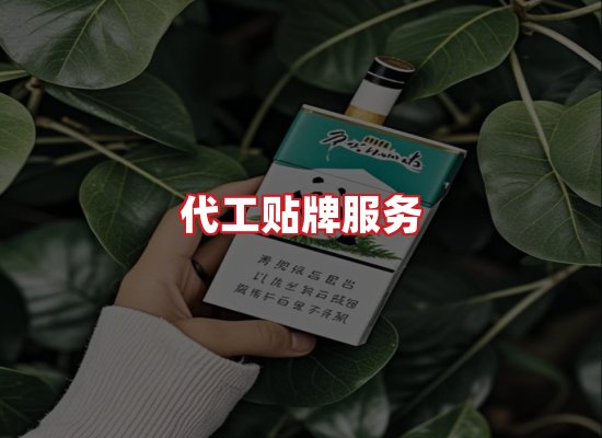 专业团队